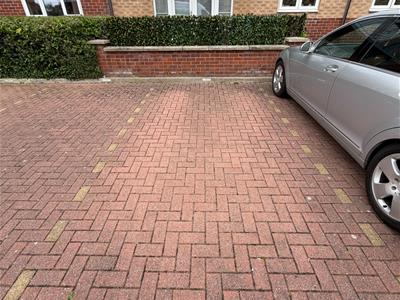Picture 14